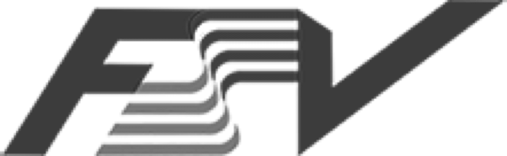 FSV